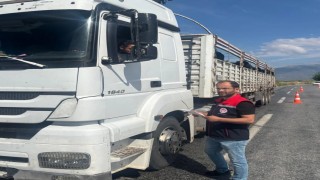 Aydında kurbanlık nakil yol kontrolleri yapıldı