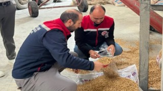 Aydında yem işletmeleri denetlendi