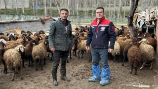 Aydıntepede kırsal üretimi destekleyen projede kontroller sürüyor