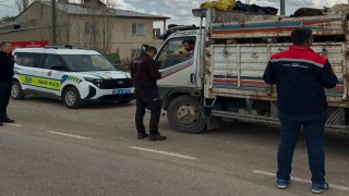 Aydıntepede Kurban Bayramı öncesi hayvan nakilleri denetleniyor
