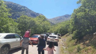 Aygırdibi Şelalesi 6 bin ziyaretçi ağırladı