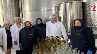 Bakan Yumaklı, zeytinyağı üretim tesislerinde incelemede bulundu
