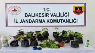 Balıkesirde uyuşturucu operasyonlarında 64 şüpheli yakalandı