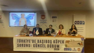 Başıboş köpek mağdurları panelde buluştu