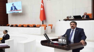 Başıboş sokak köpekleri için Erzurum modeli önerisi