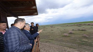 Başkan Büyükkılıç: Sultan Sazlığı yeniden canlandı