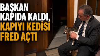 Başkan Kapıda Kaldı, Kapıyı Kedisi Fred Açtı