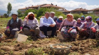 Başkan Tugaydan yol ve asfalt sözü