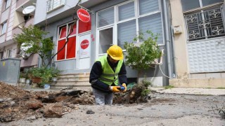 BASKİden Kurban Bayramı öncesi önemli uyarı