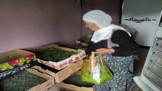 Batmanda 72 aileye ipek böceği larvası dağıtıldı