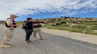 Batmanda Jandarma, Kurban Bayramı öncesi hırsızlara karşı besicileri uyardı