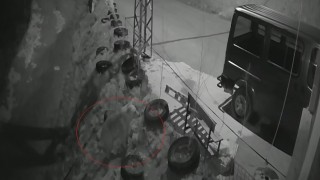 Bayburtta köye inen aç ayı kurdun tavşanı kovaladığı noktada yiyecek aradı