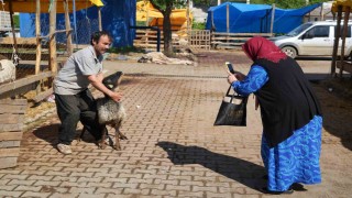 Besicilerin kurbanda da mesaisi sürüyor