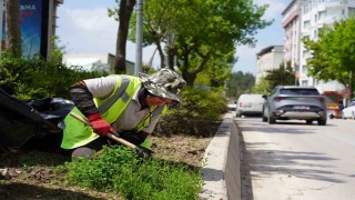Bilecikte park ve bahçeler müdürlüğünden yaza hazırlık çalışmaları