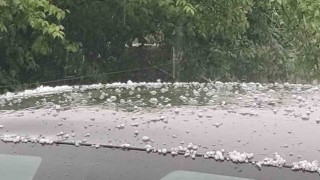 Bingölde dolu yağışı etkili oldu