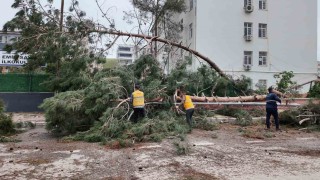 Birecikte afetin yaraları sarılıyor