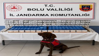 Boluda kaçakçılık operasyonu: 2 gözaltı
