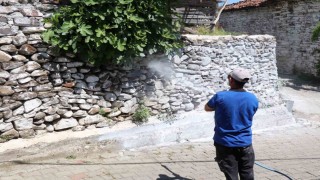 Bozdoğanda haşereye karşı kireçleme çalışmaları sürüyor