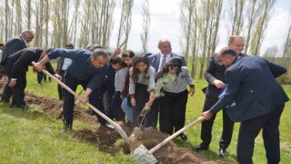 Bulanıkta Hatıra Yolu Projesi kapsamında 350 fidan dikildi