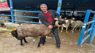 Bursadaki kurbanlık pazarında hareketlilik