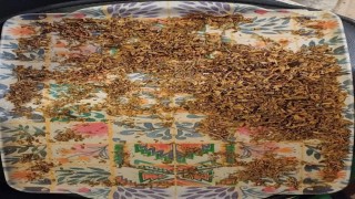 Çanakkalede evinde uyuşturucu yetiştiren 2 kişi yakalandı