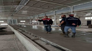 Çatıksuda modern büyükbaş ahırı inşa ediliyor