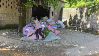 ÇAYKUR sezonun ilk gününde 900 ton çay aldı