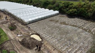 Çiftçinin taşkın nöbeti: Arazisindeki bitkiler Yeşilırmaktan sızan suyun altında kaldı