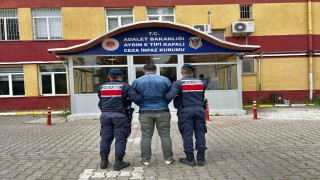 Çinede uyuşturucu şüphelisi tutuklandı