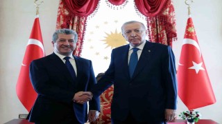 Cumhurbaşkanı Erdoğan, IKBY Başbakanı Barzaniyi kabul etti