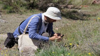 Darendede flora projesi için ilk saha çalışması tamamlandı