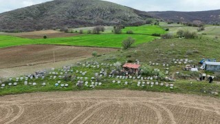Dedesinden öğrendiği mesleği köyünde sürdürüyor