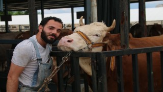 Denizli kurban pazarı müşterilerini bekliyor
