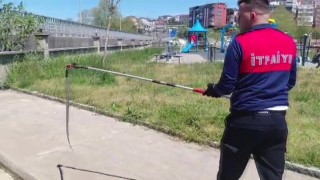 Dernek binasına giren yılanı itfaiye yakalayıp doğaya saldı
