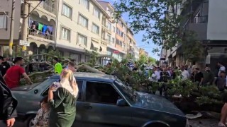 Devrilen ağacın altında kalan motosiklet sürücüsünün durumu ağır