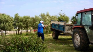 Didim Belediyesinden okullarda ot biçme ve çevre düzenleme çalışması