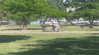 Diyarbakırda amcalar yaşlarına aldırış etmeden parkta mekik çekti