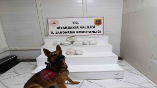 Diyarbakırda narkotik operasyonu: 150 şüpheli hakkında yasal işlem