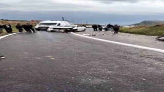 Diyarbakırda otomobil ile motosiklet kafa kafaya çarpıştı: 1 yaralı