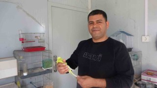 Doğadan yakaladığı kuşla başlayan merakını 30 yıldır sürdürüyor