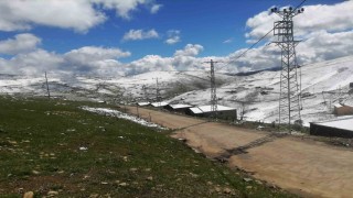 Doğu Karadeniz yaylalarına kış geri geldi