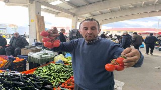 Domates fiyatlarının yüksek olmasının sebebi soğuk hava