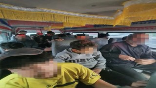Durdurulan araçtan 15 düzensiz göçmen çıktı: Sürücü cezaevine gönderildi