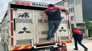 Düzcede artan hayvan haraketliliği denetim altında