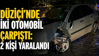 Düziçi’nde İki Otomobil Çarpıştı: 2 Kişi Yaralandı