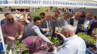 Edremit Belediyesinden ücretsiz ata tohumu fide dağıtımı