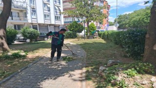 Efelerde parklar yaza hazırlanıyor