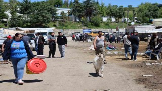 Elazığ hayvan pazarında hareketlilik sürüyor