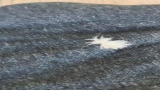 Elazığda ‘Dikenli Dantel Böceği görüntülendi