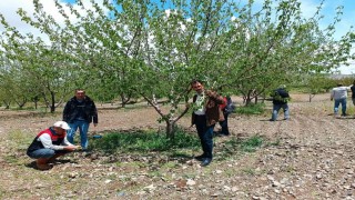 Elazığda dolu sonrası hasar tespiti yapıldı